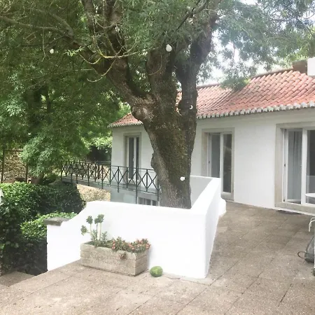 Center Guest house