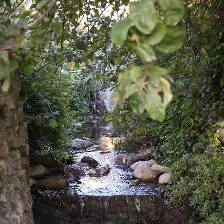 Casa de hóspedes Center