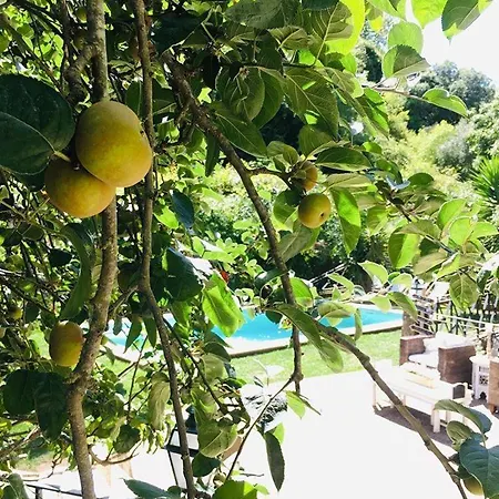 Casa de hóspedes Center 3*