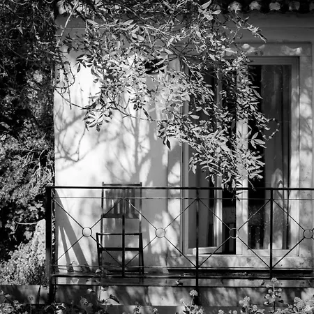 Center * Sintra