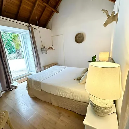 Center Guest house